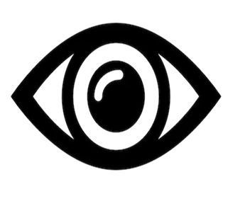 Vision